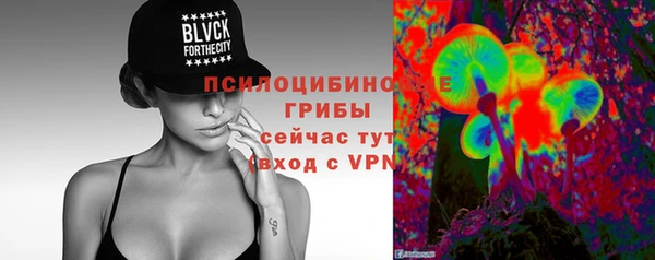 spice Лиски