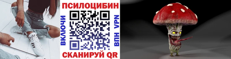 Купить закладки Берёзовка Галлюциногенные грибы мицелий